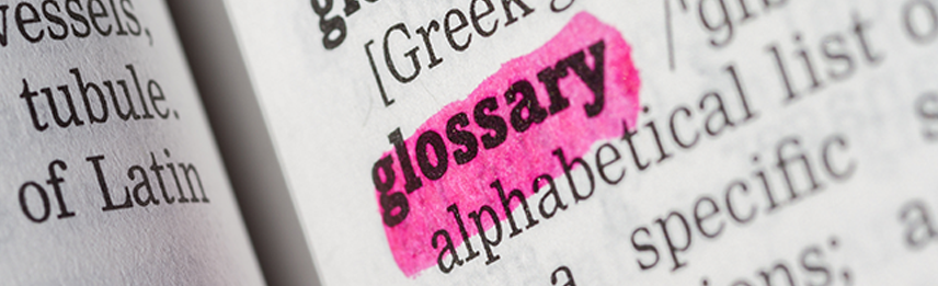 Glossary Of Terms