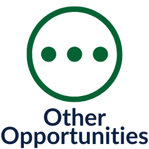 Other Opportunities
