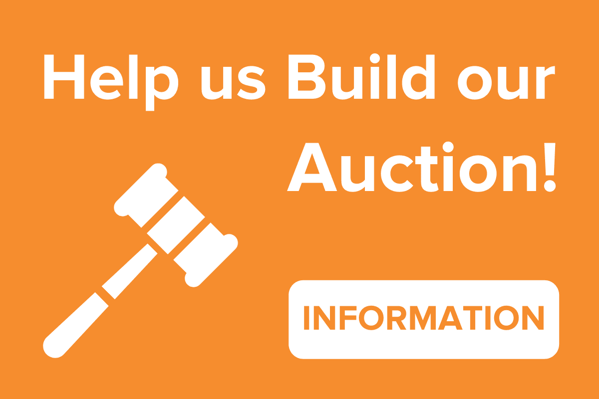 Auction Donation
