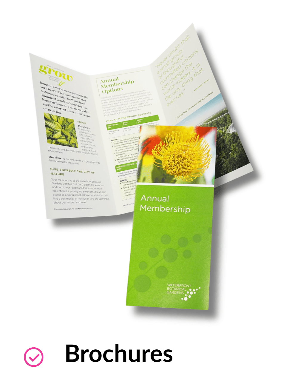 Brochures
