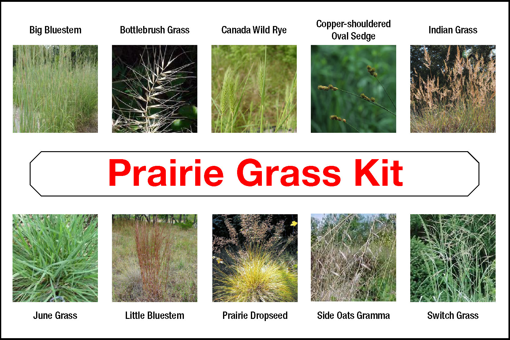 Prairie Grass Kit