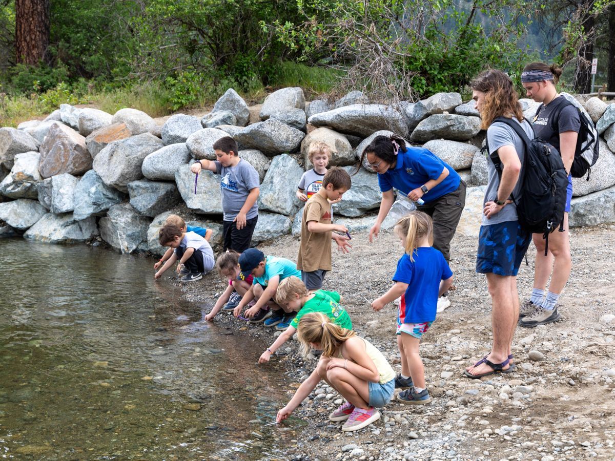 Students crouched by the river releasing small fish into the river at the Hatchery.