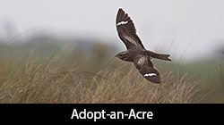 Adopt-an-Acre logo