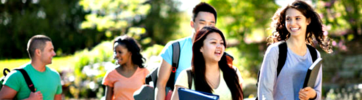 IN! Pathways to Inclusive Higher Education