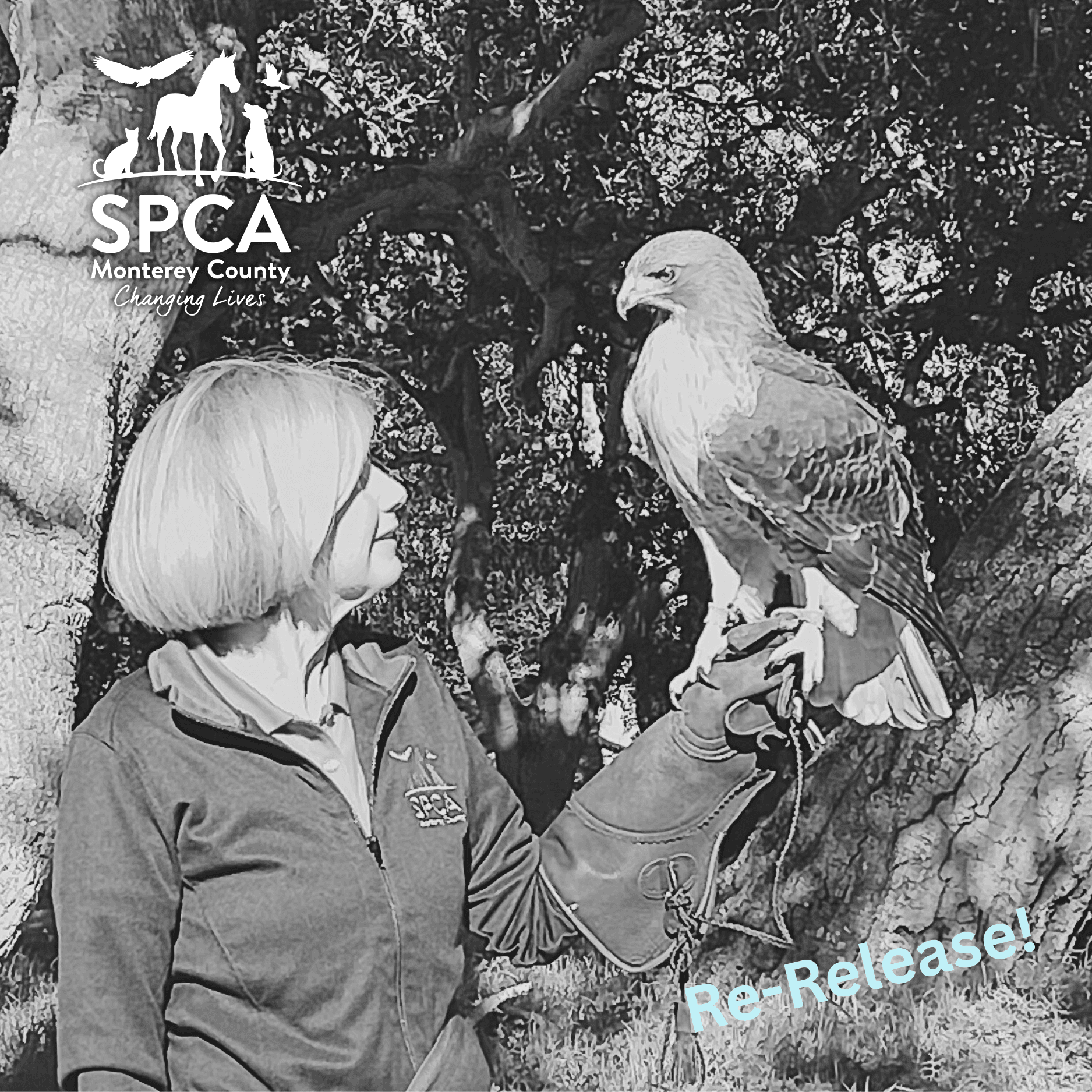 SPCA Stories - Special Re-Release: Chris Patton, SPCA Wildlife Rescue & Rehabilitation Volunteer