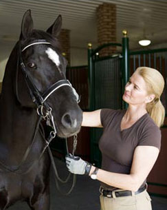 Major Anders Lindgren Scholarships Awarded to Dressage Instructors
