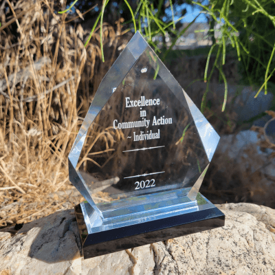 Example of an Excellence in Community Action Award