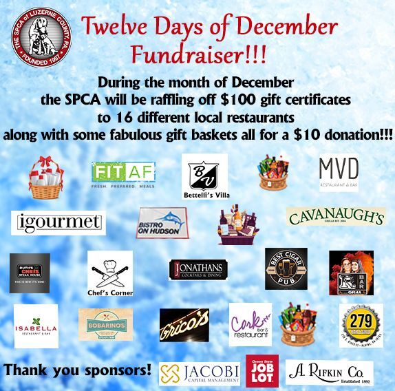 Twelve Days of December Fundraiser!