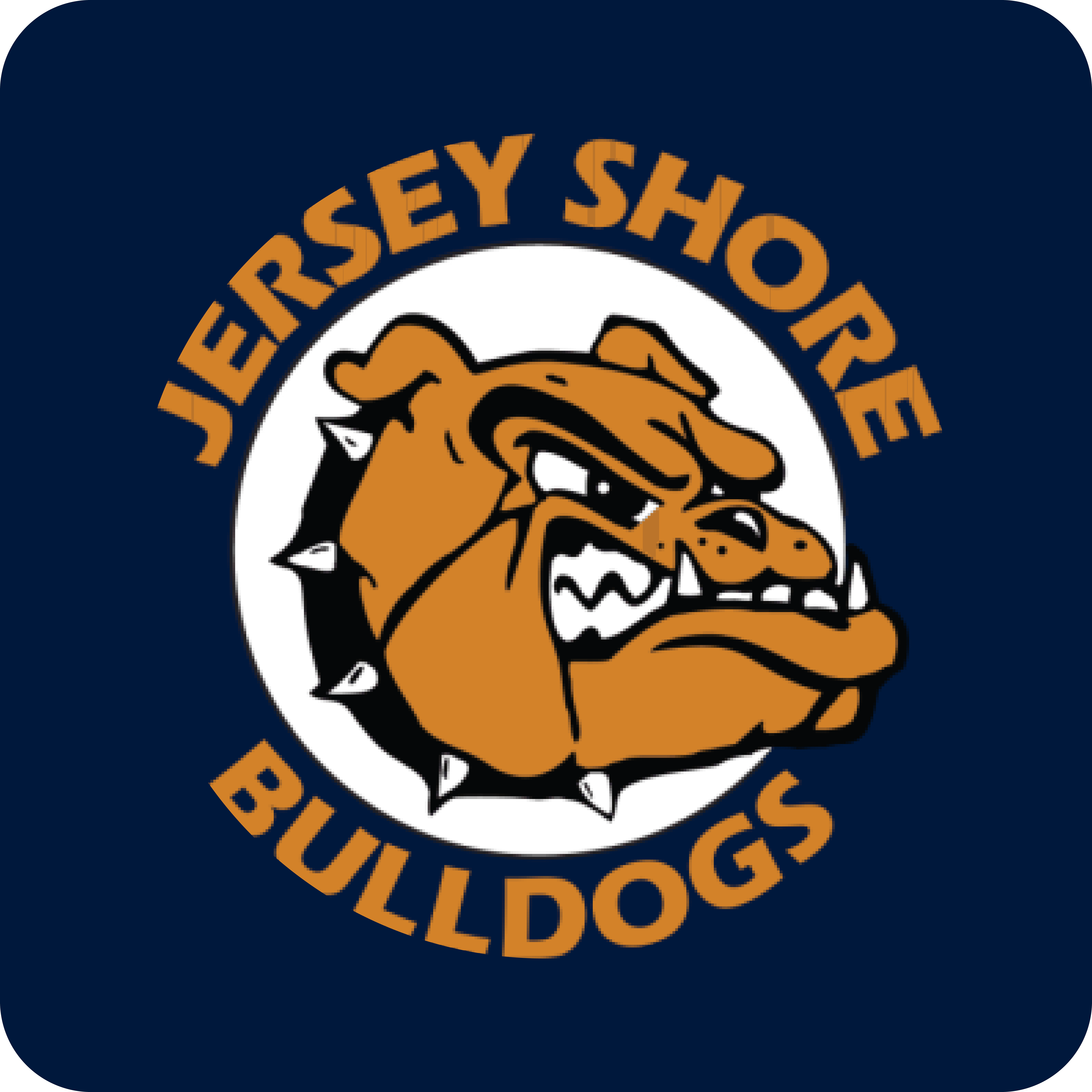 Jersey Shore Area School District