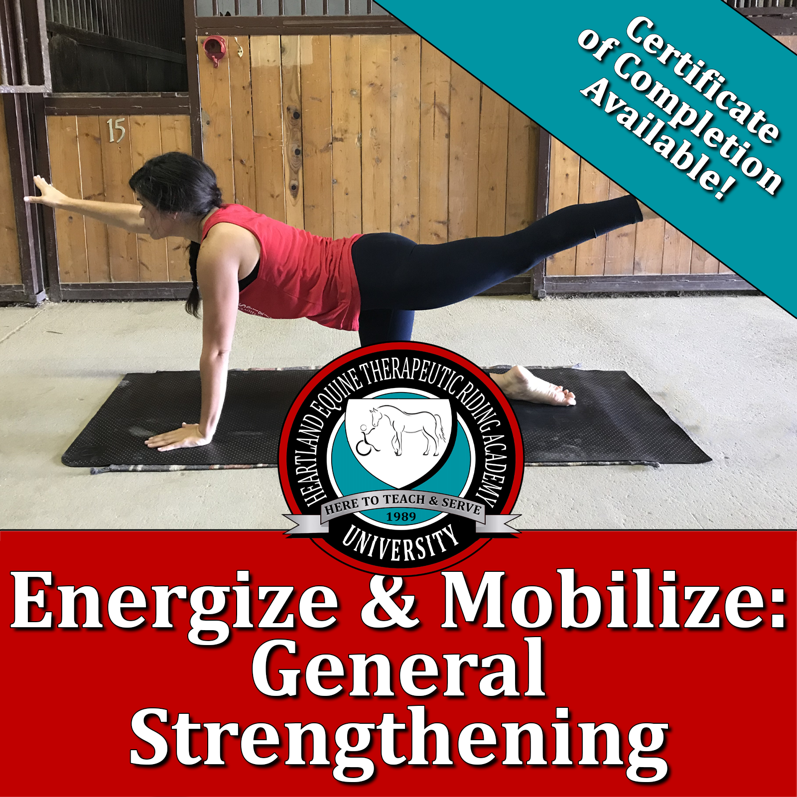 Energize & Mobilize - General Strengthening