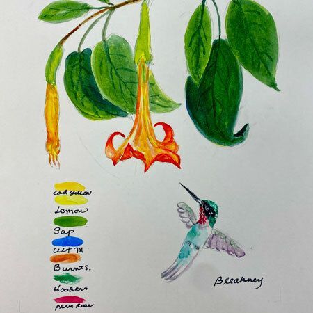 Beginning Botanical Watercolor