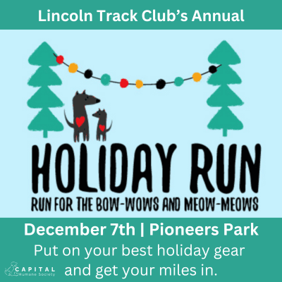 Holiday Run