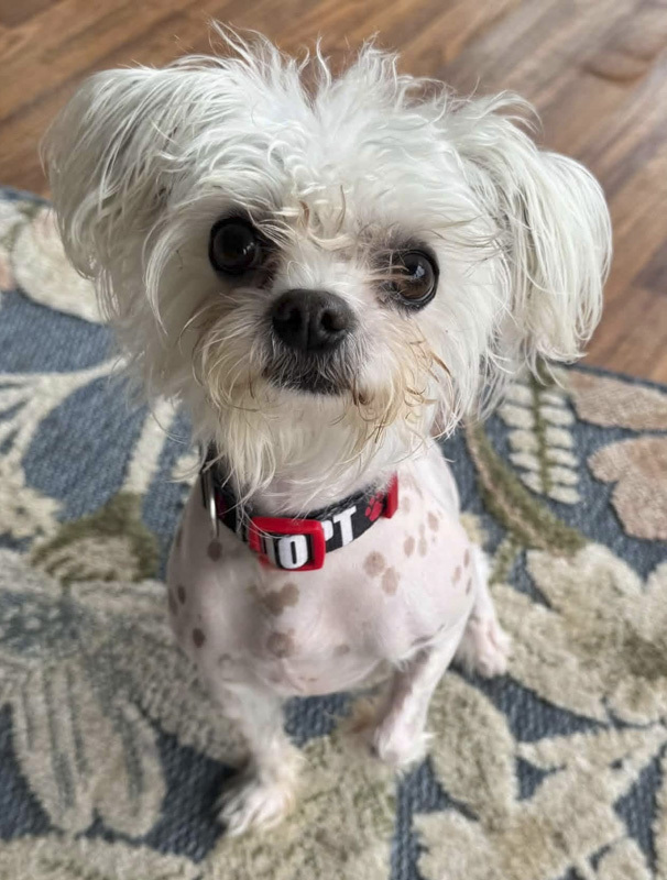 Frankie