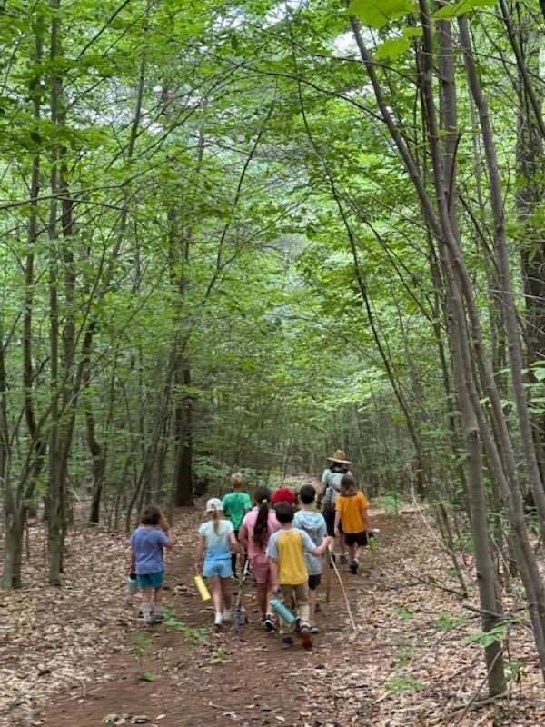 Tamworth Tin Mountaineers