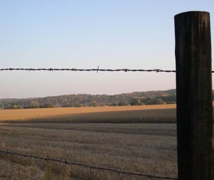 Agricultural Production