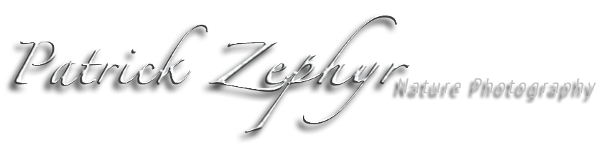 Patrick Zypher