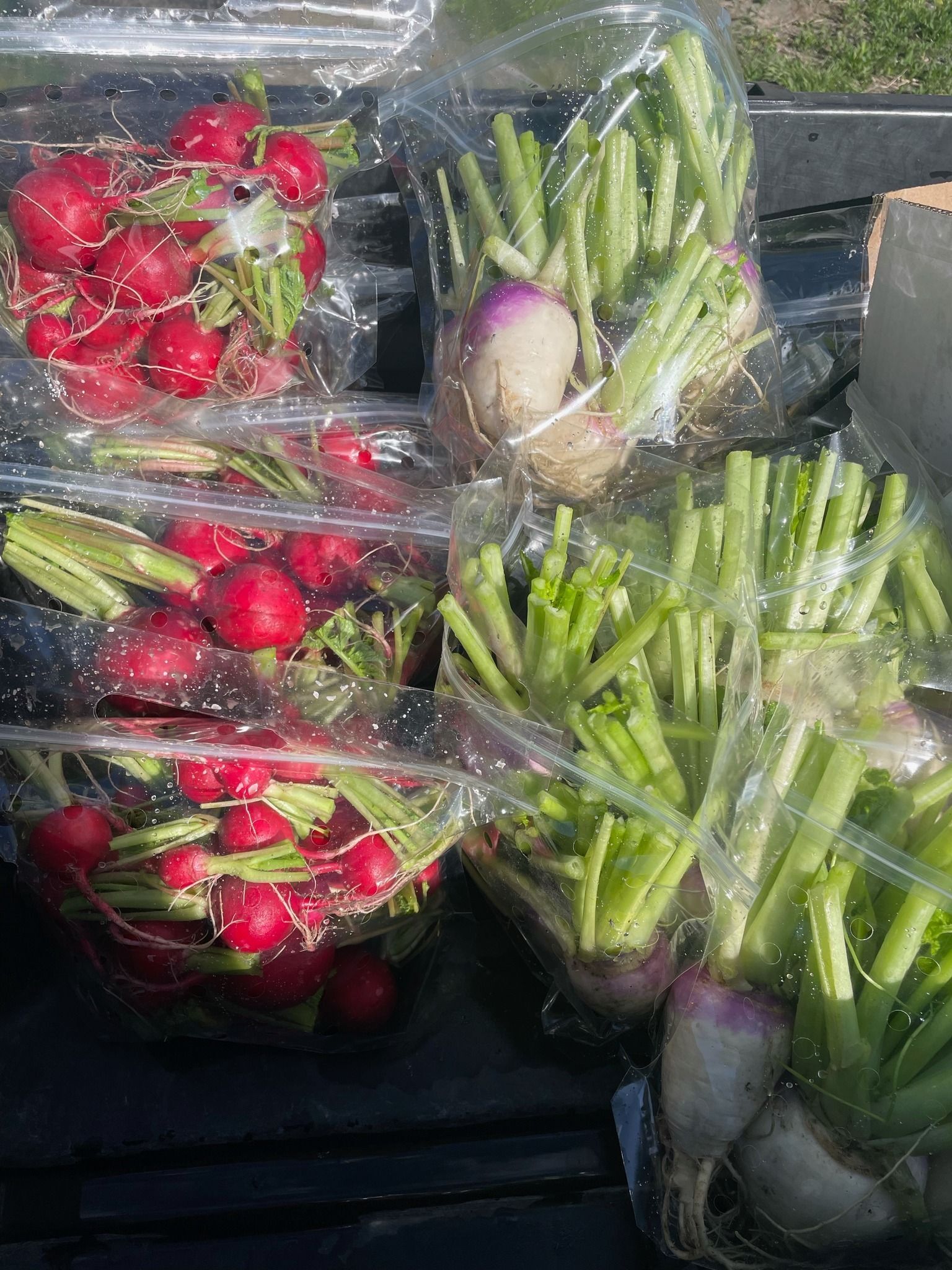 Burns Farmers Market Kicks Off