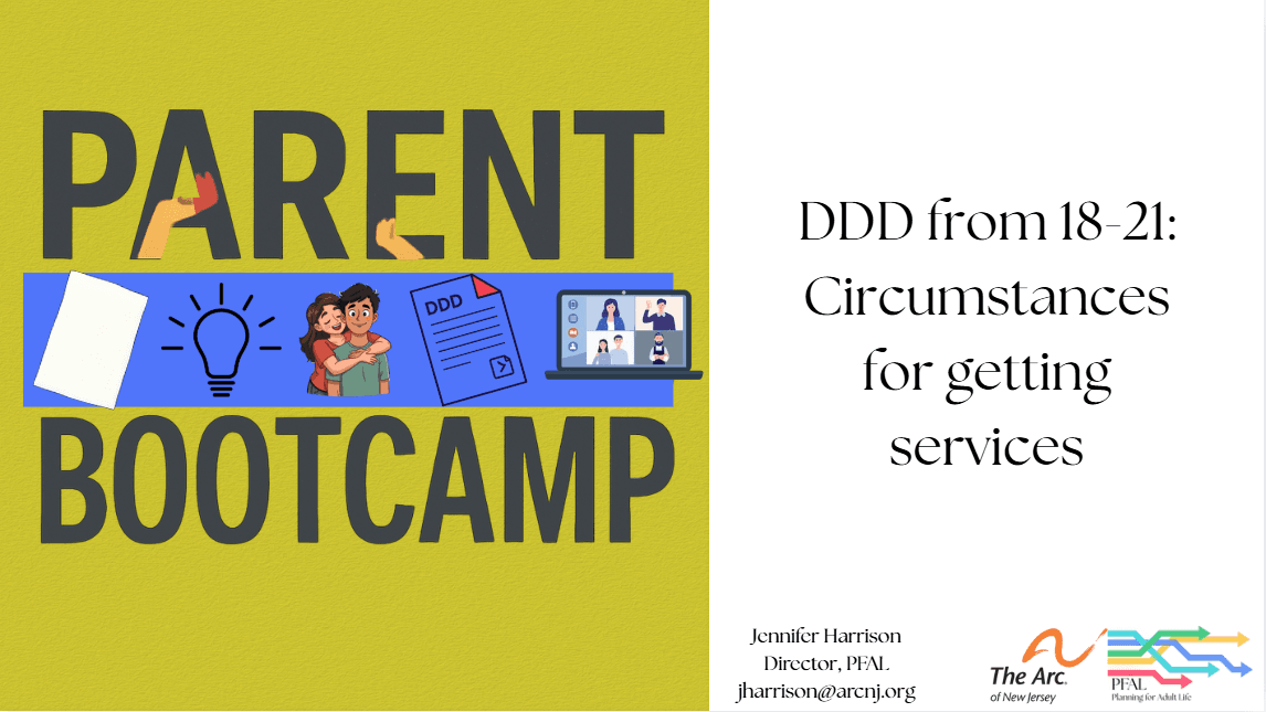 DDD from 18-21: Circumstances for getting services