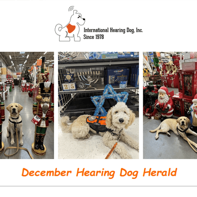 The Hearing Dog Herald - December 2023