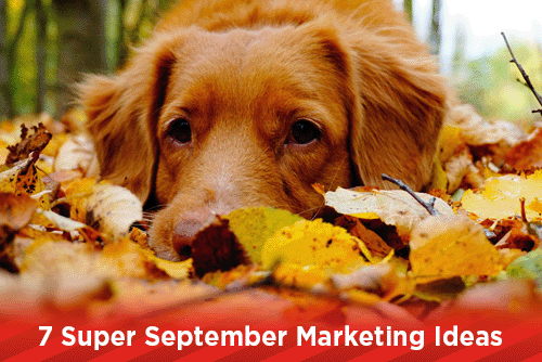 7 Super September Marketing Ideas