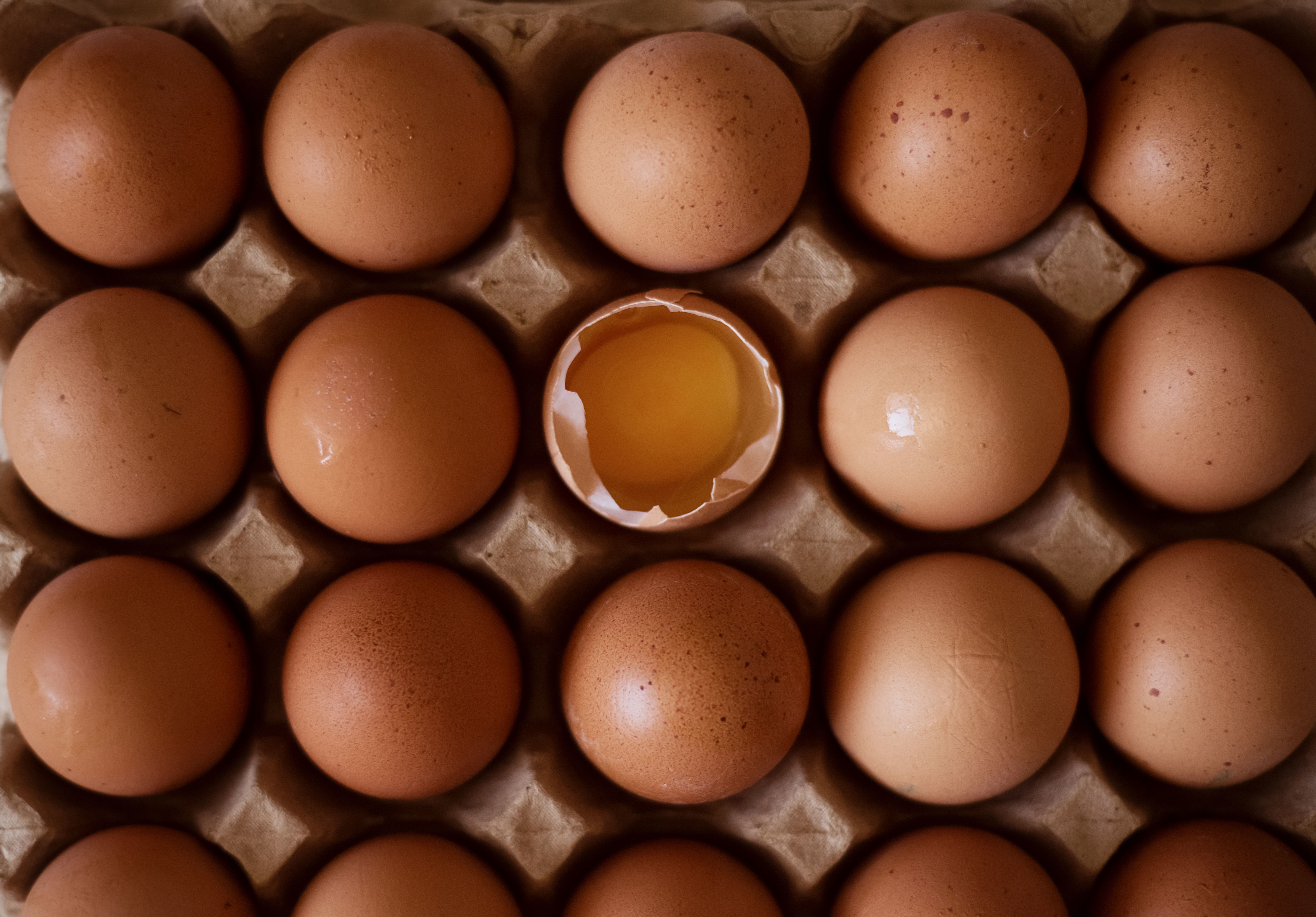 Background image of eggs in a carton, view from overhead