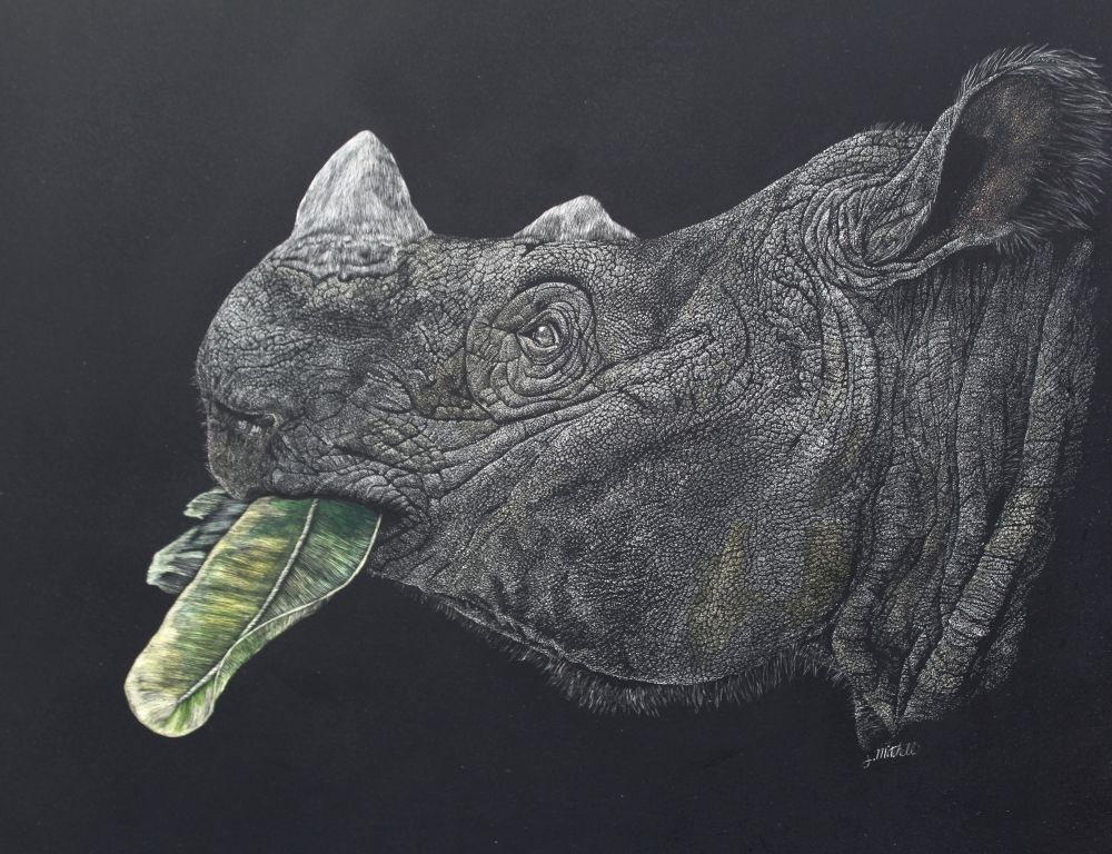Sumatran Rhinoceros
