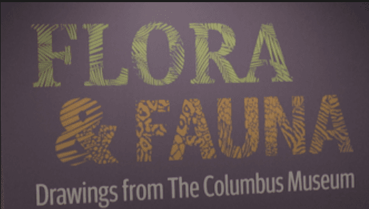 Flora and Fauna Exhibit: Newest stop on Columbus museum’s tour by: Leslie Hudgins