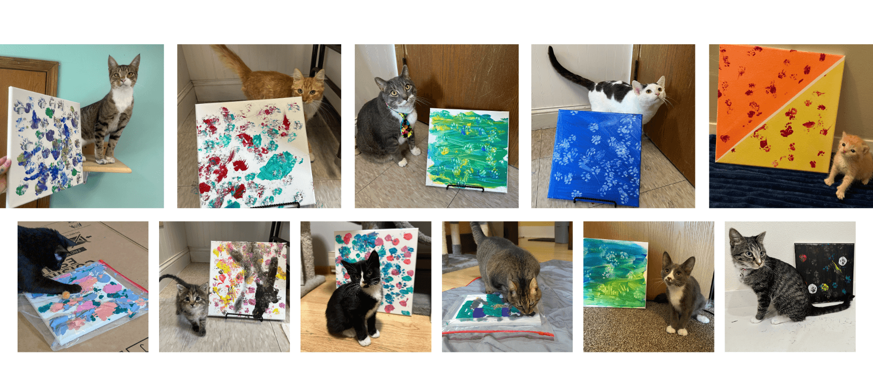 Cat Art Auction