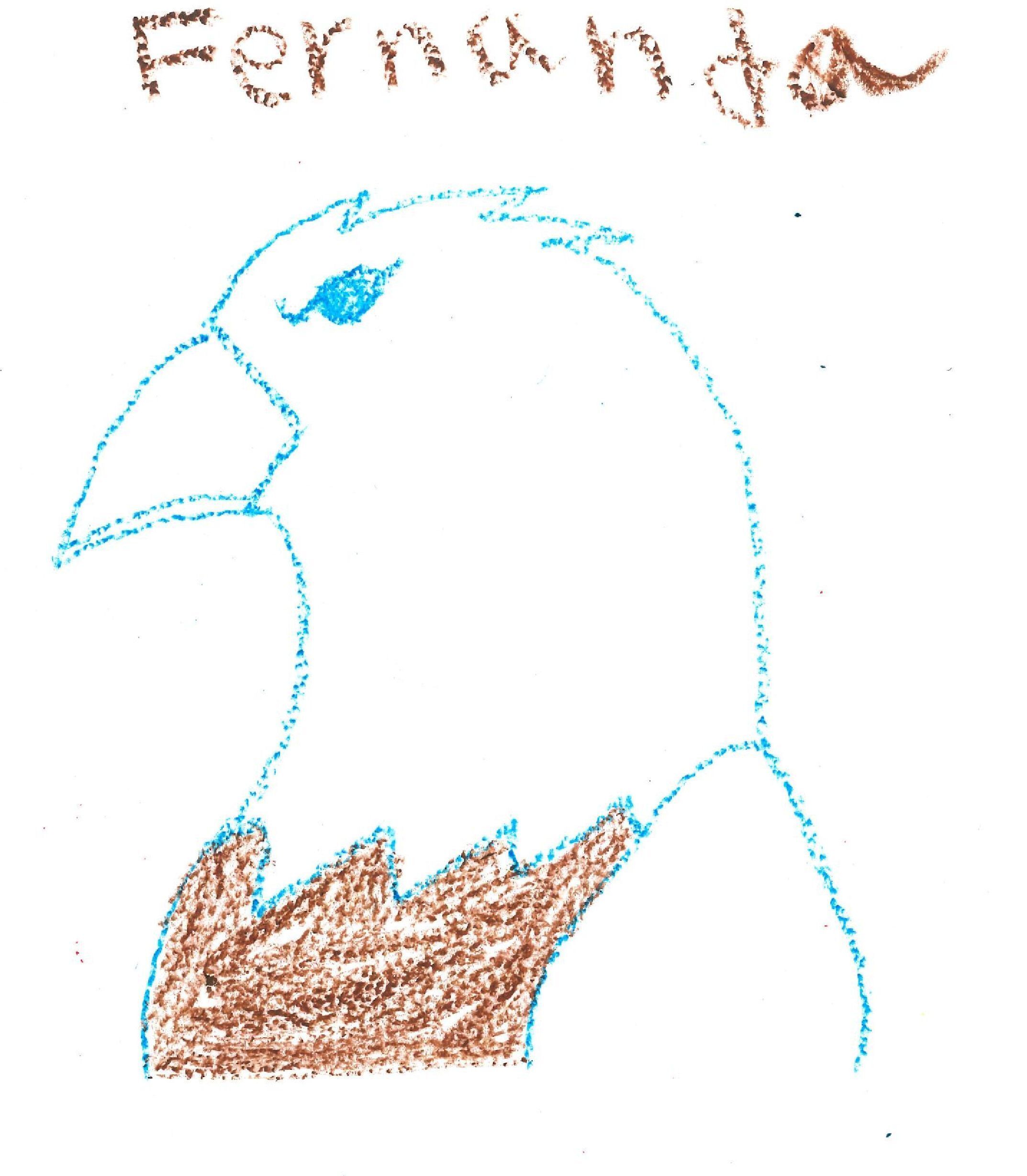 Fernanda, Kindergarten