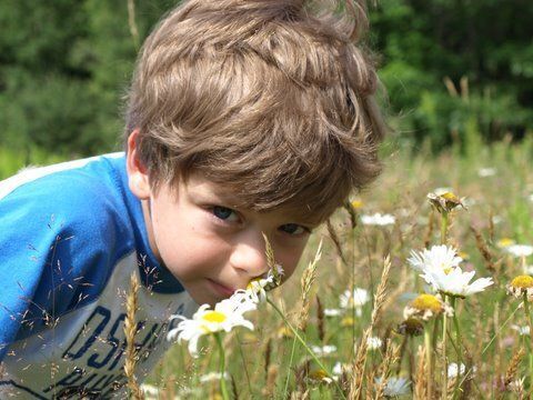 Boy smelling daisy