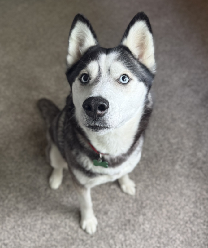 Skyler