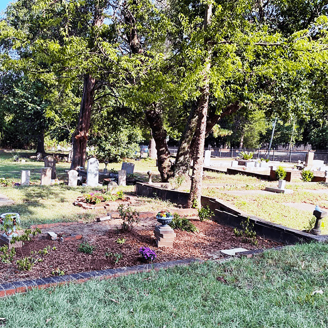 Hurricane Recovery in Community Forests-February 3rd Augusta