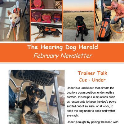 The Hearing Dog Herald - February 2022