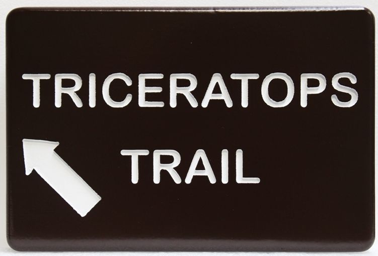 G16140 - Engraved  Western Red Cedar Wood Sign for Triceratops Trail 