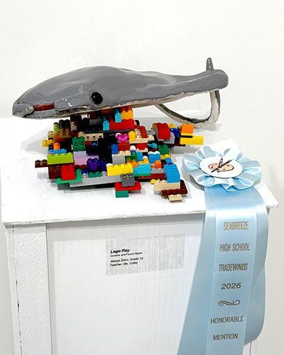 Lego Ray
