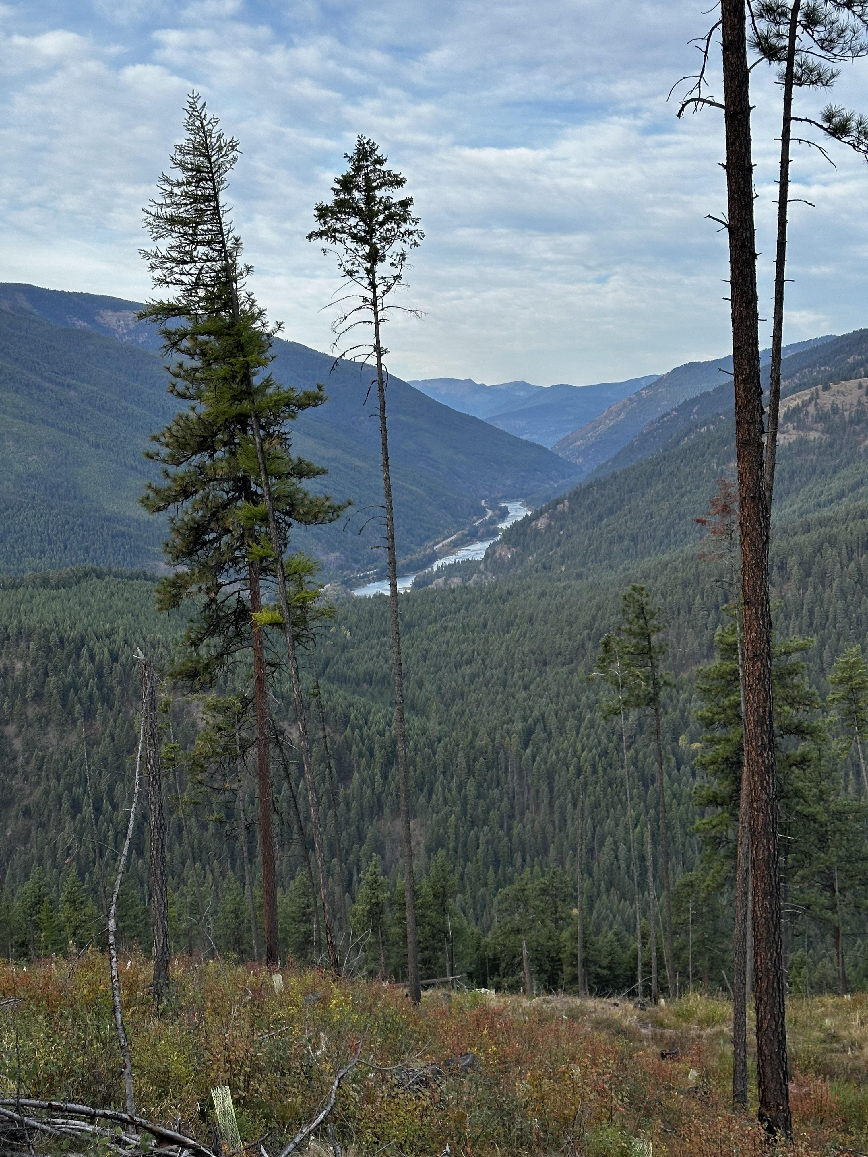 A view over looking a river in a forested valley