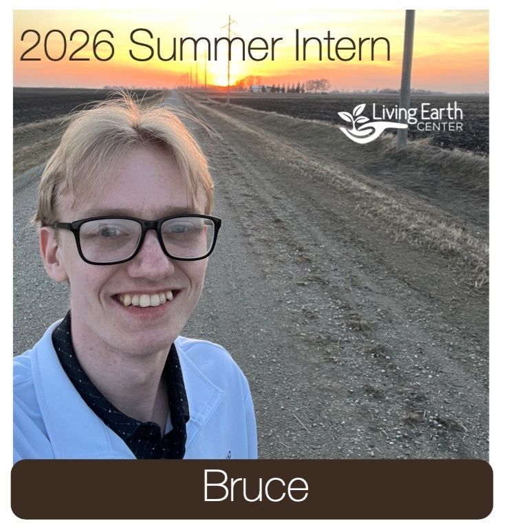 Meet LEC's Summer Intern