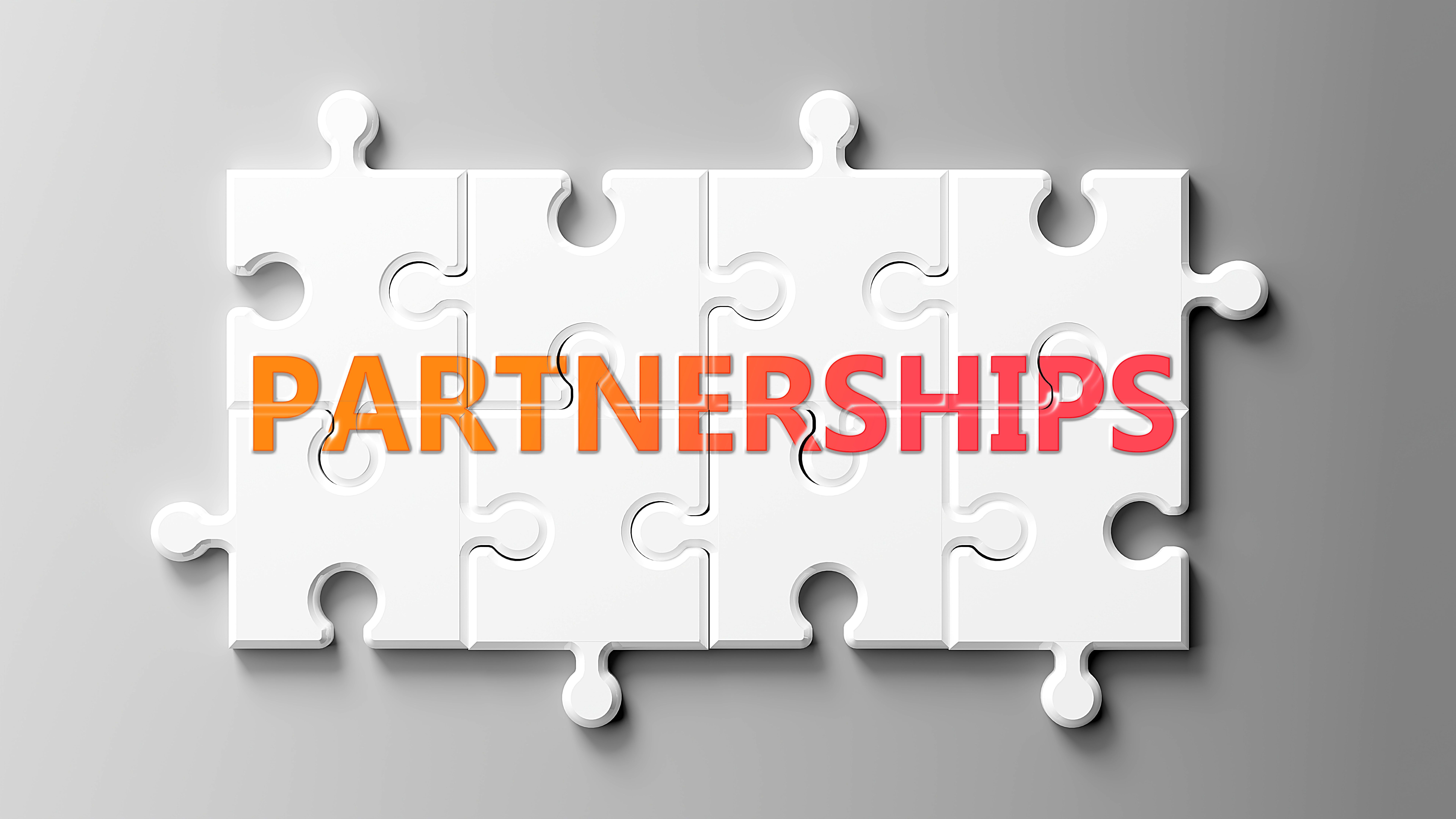 Successful Partnerships