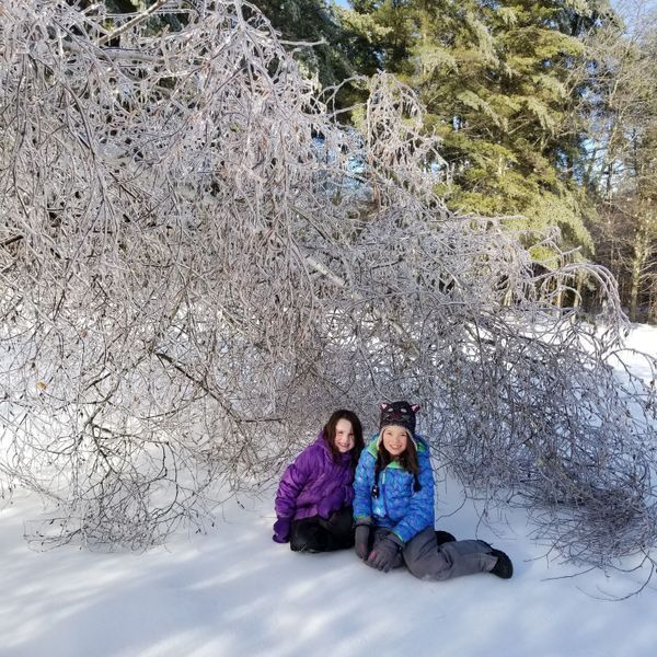 Homeschool girls frozen tree