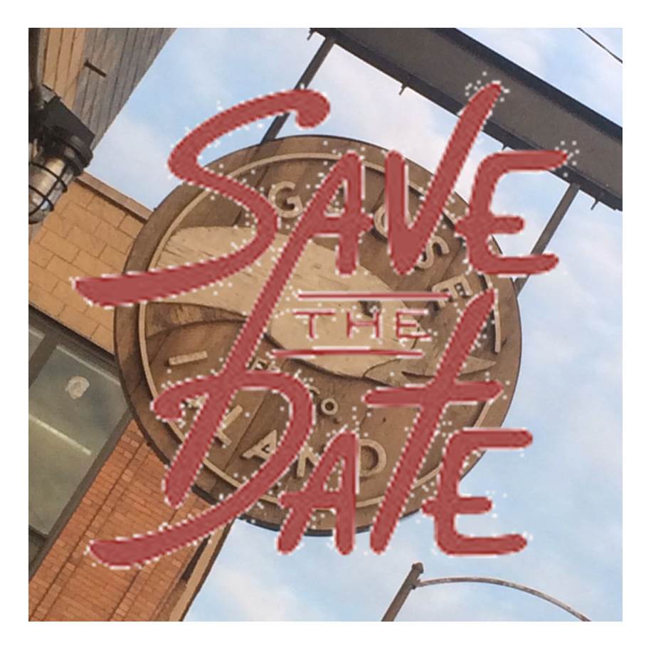 Goose Island Fundraiser