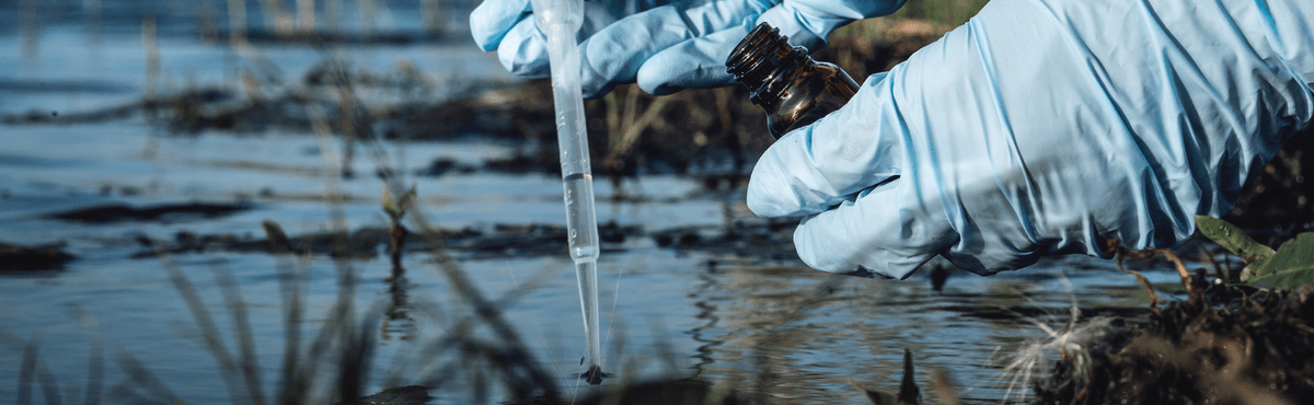 Gloved hands obtaining liquid specimen from marsh water using a dropper