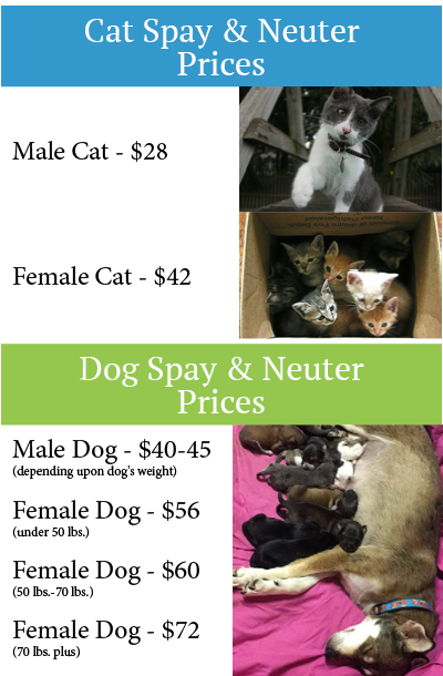 Planned Pethood Inc Pet Owner Resources Spay Neuter