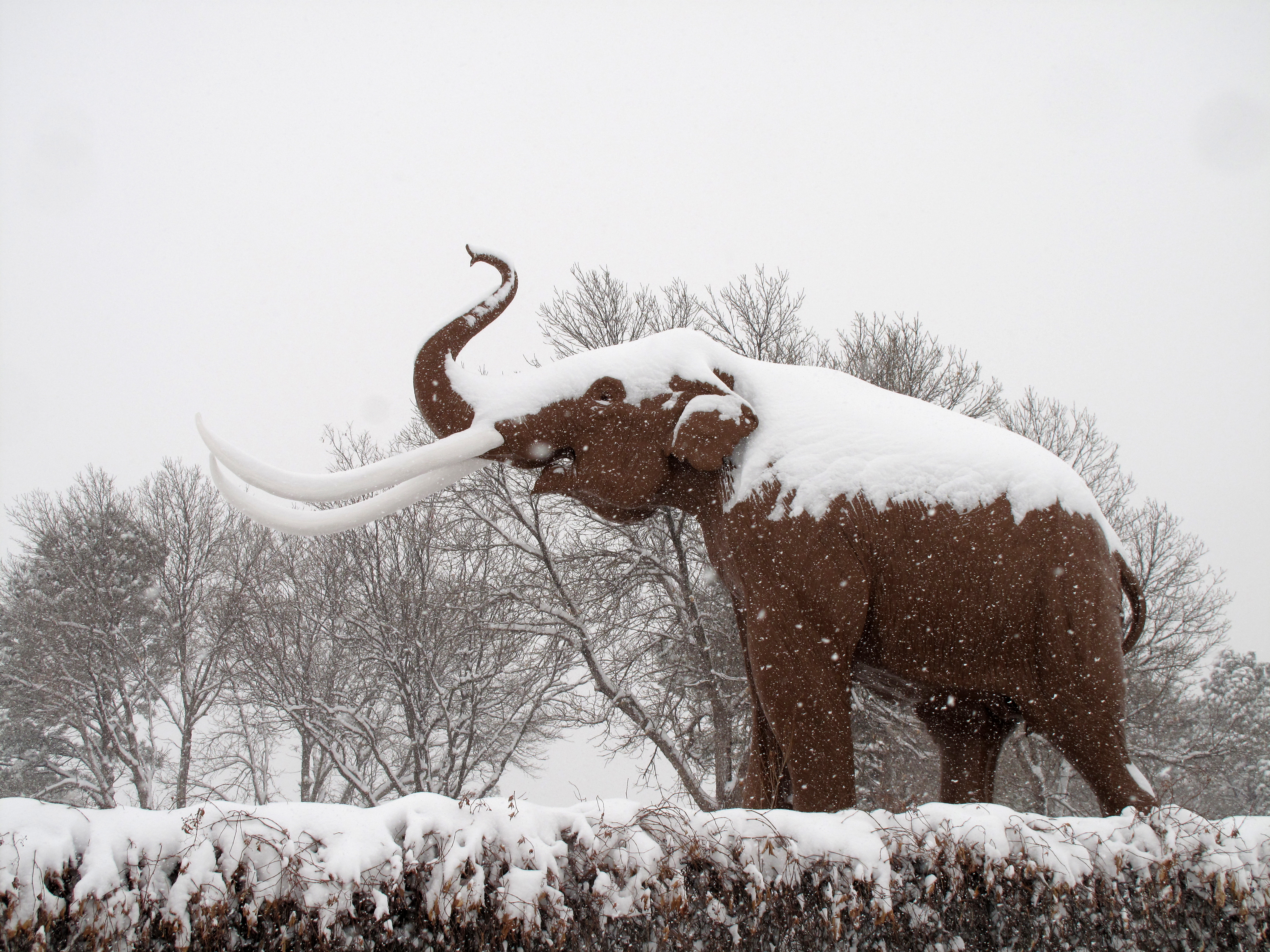 New Hours at The Mammoth Site Beginning November 1, 2019