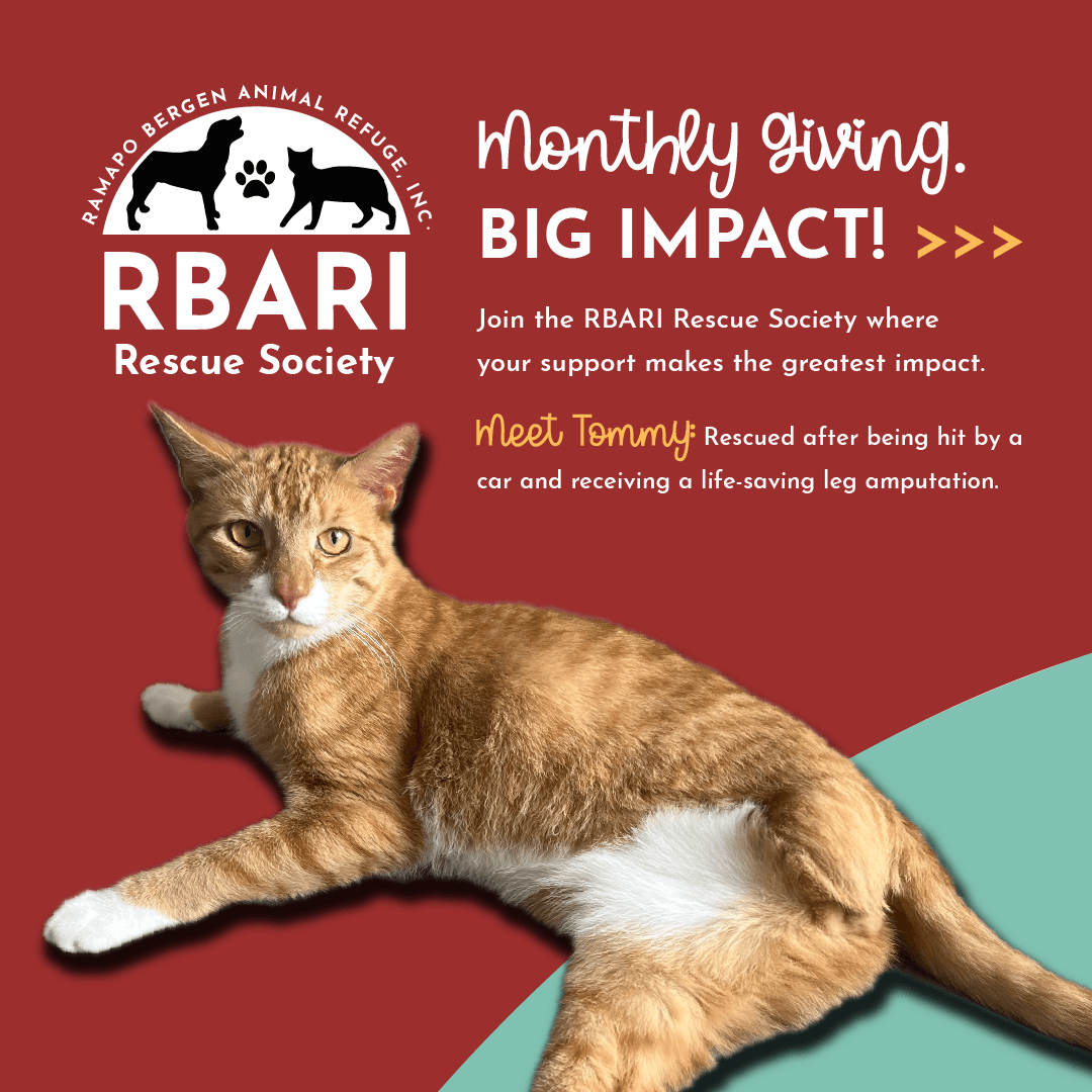 Introducing RBARI Rescue Society!