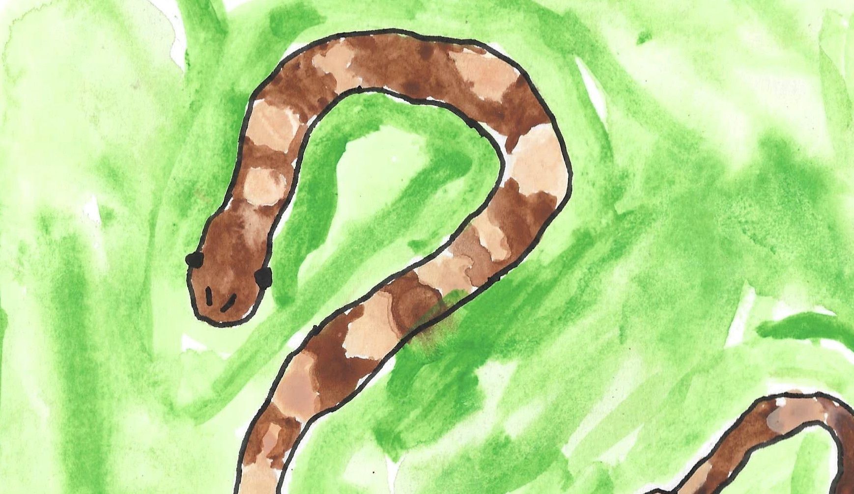 Tryon Fine Arts Exhibition