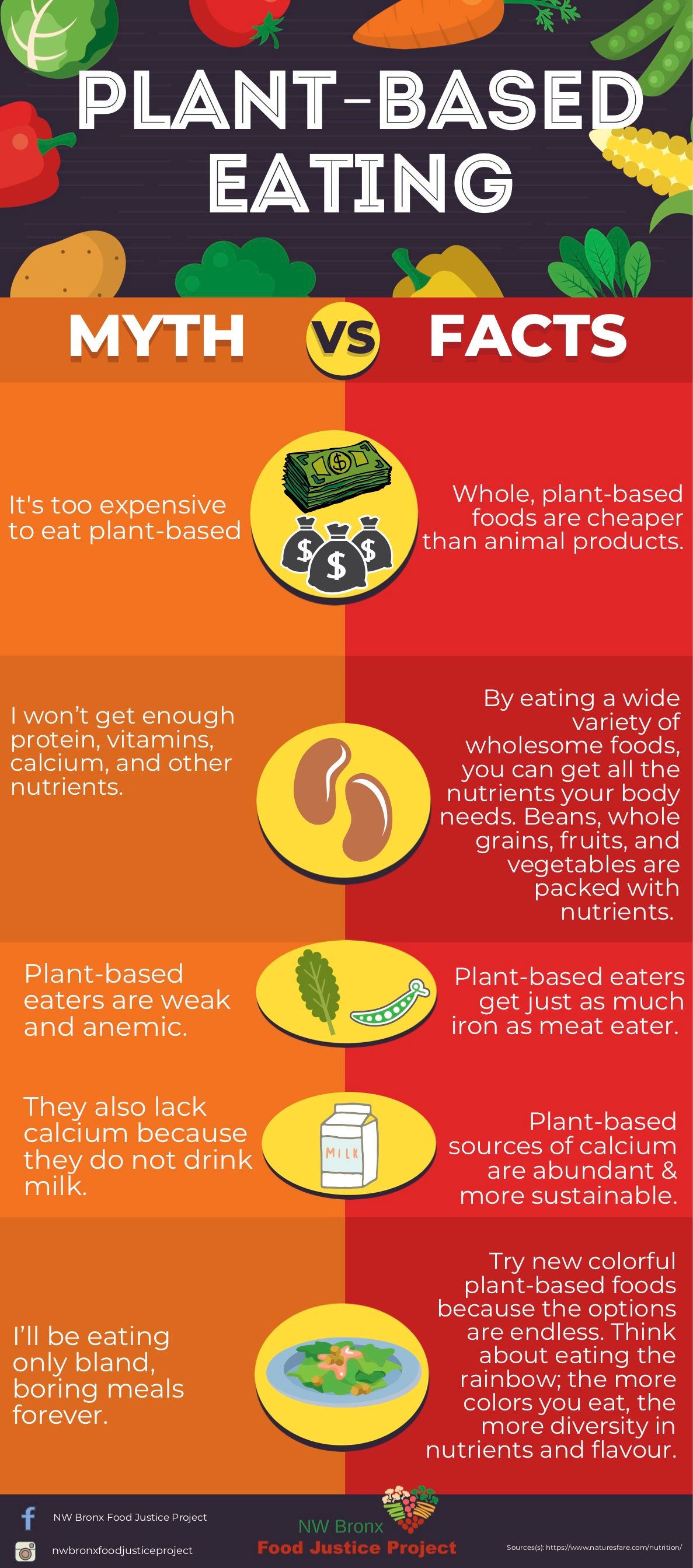 Plant-Based Eating: Myth vs. Fact