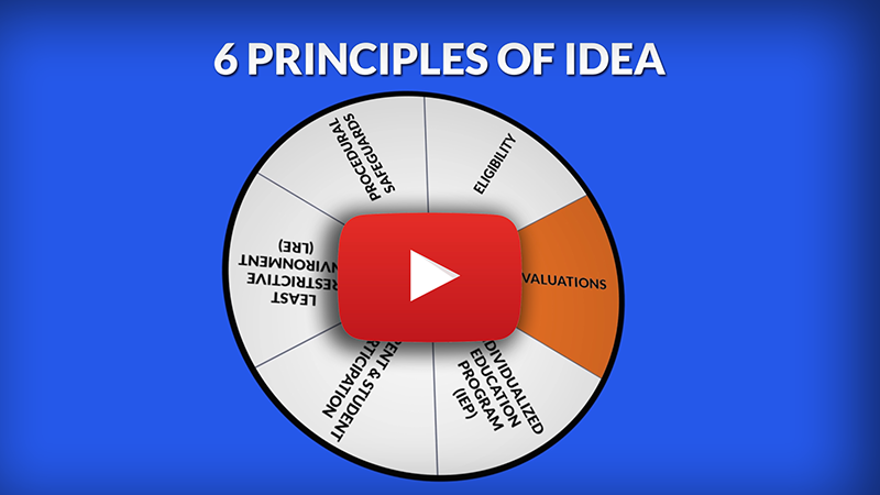 Link to youtube video 6 Principles of IDEA: Evaluations