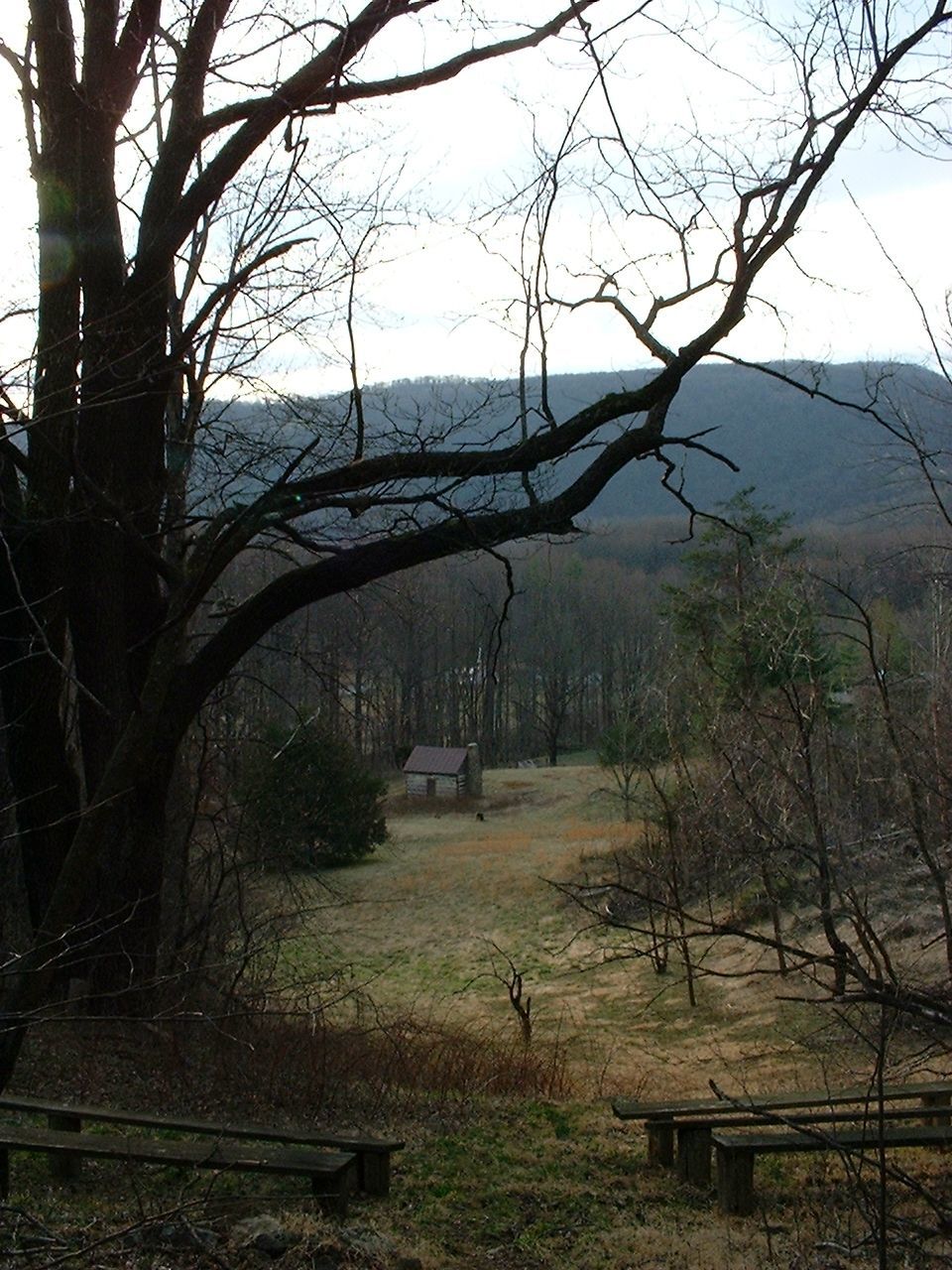 View of Ruby's Cabin from the Amphitheater