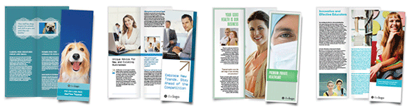 political campaign marketing Brochures and flyers