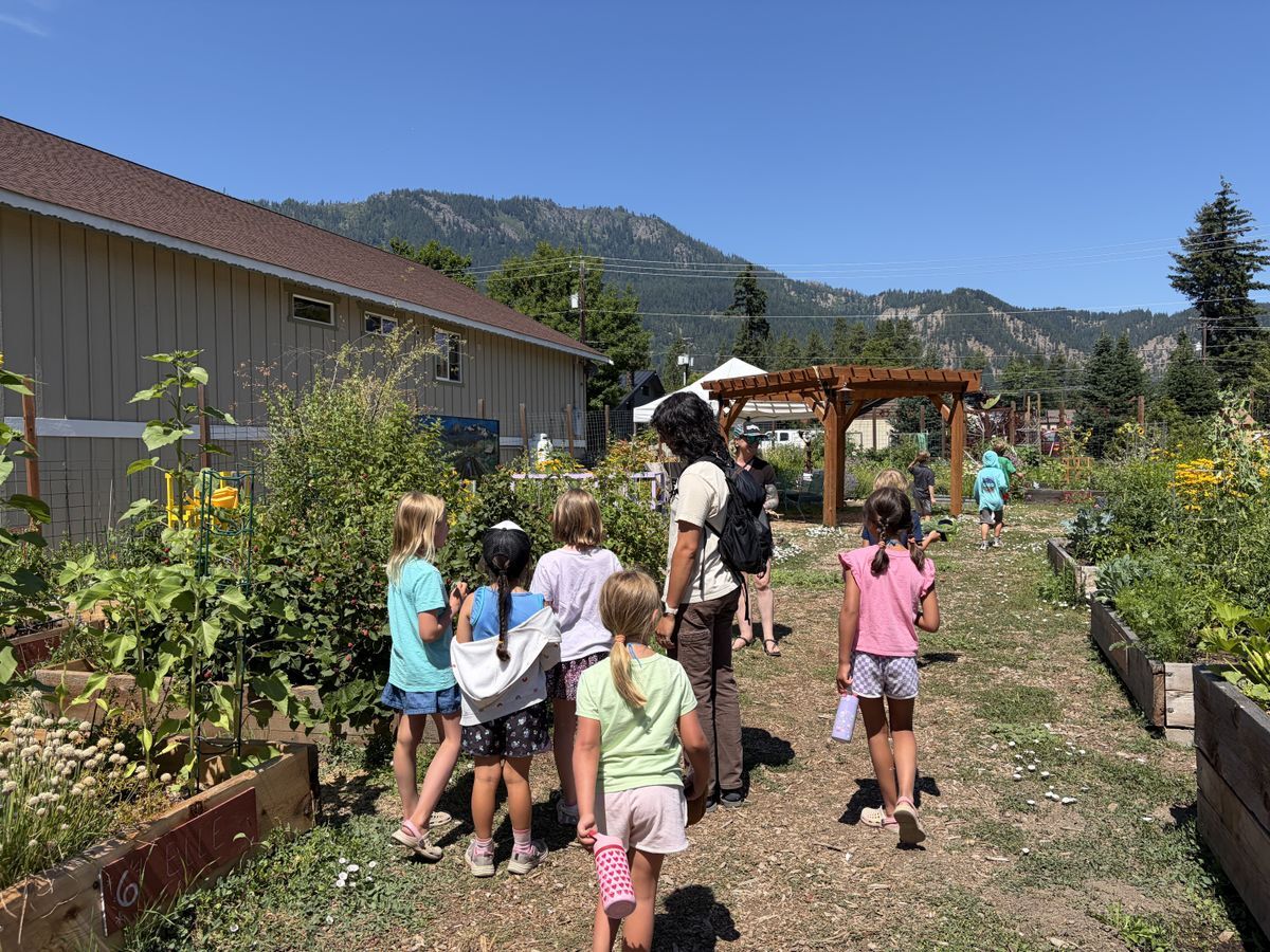 A group of students gathering in the garden during Soil to Snack Camp.